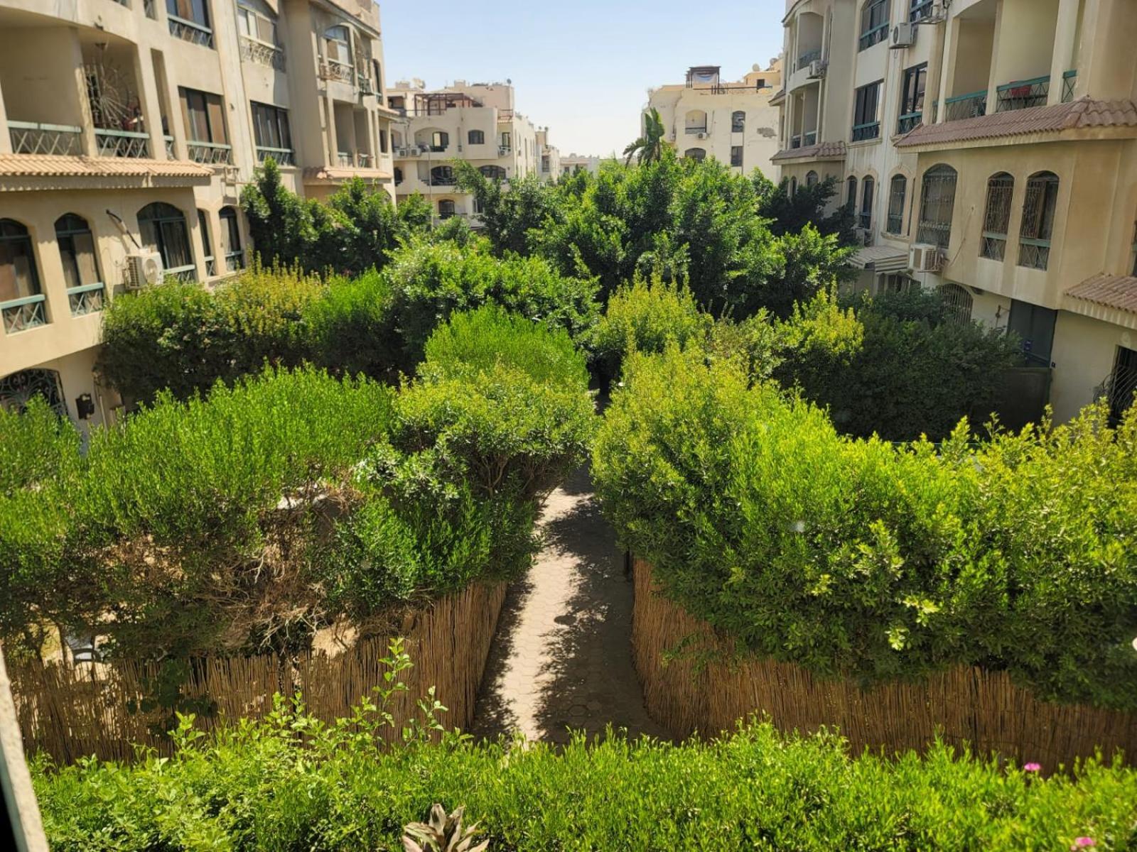 American University Oasis: 3-Bedroom Suite with Garden Cairo Exterior photo