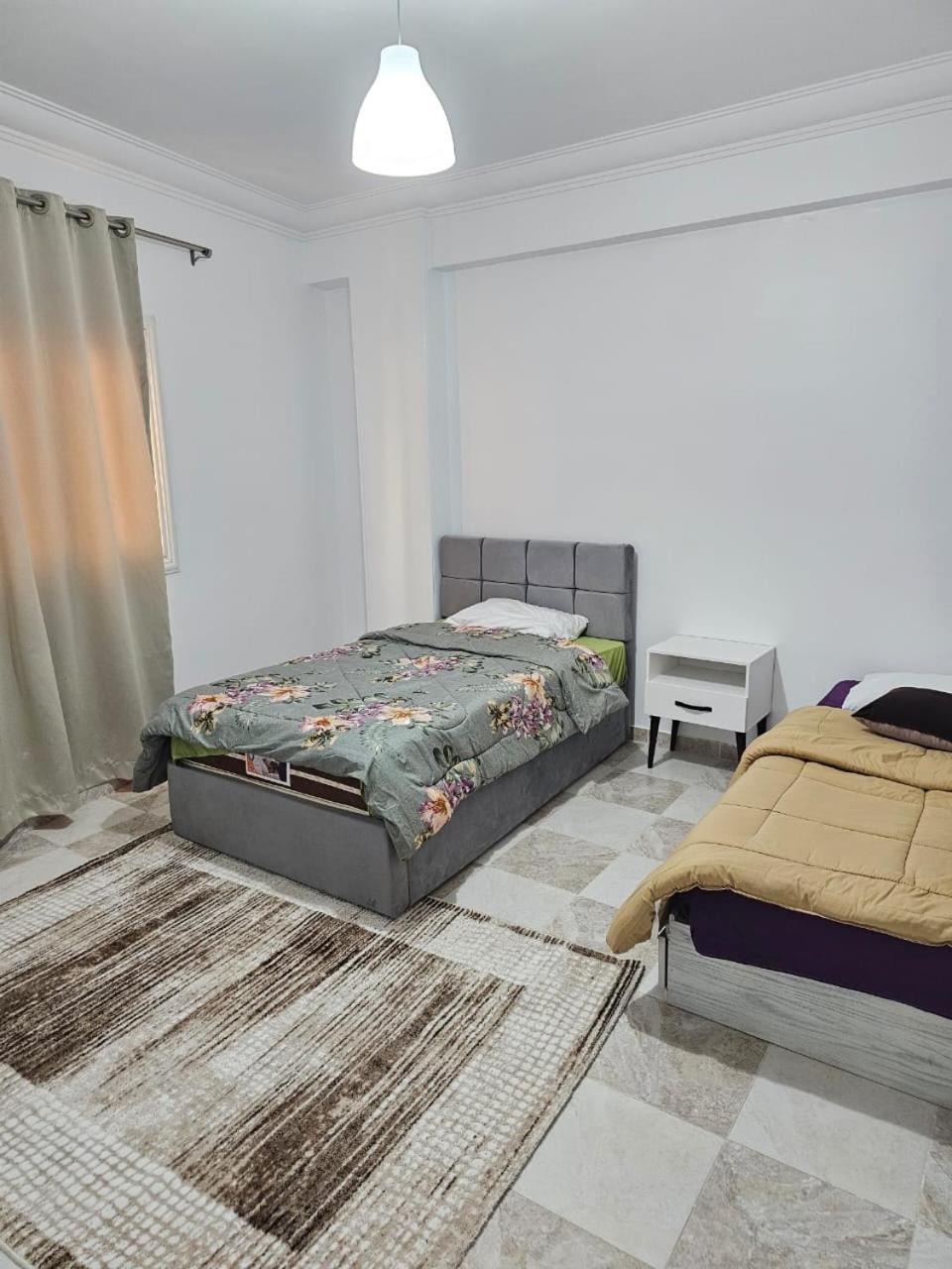 American University Oasis: 3-Bedroom Suite with Garden Cairo Exterior photo